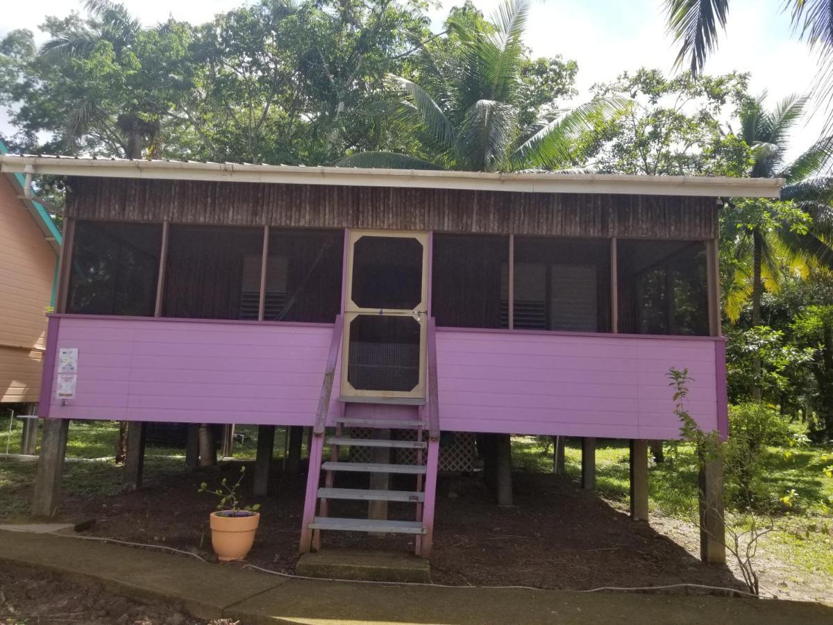 River Bend Resort Bze Belize City Exterior photo
